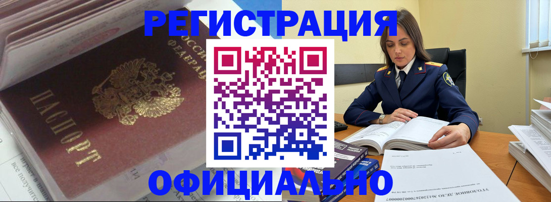 прописка поиск в Камышине