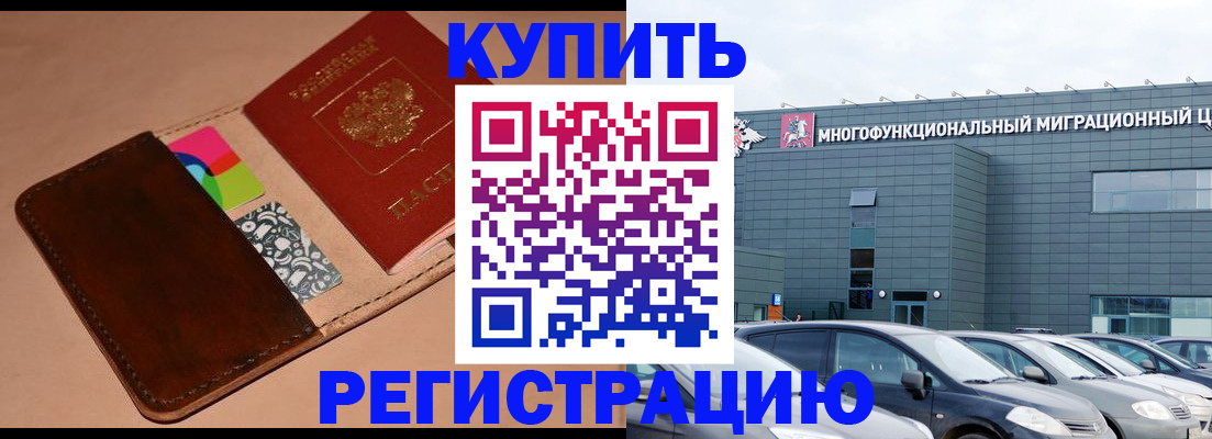 прописка поиск в Камышине